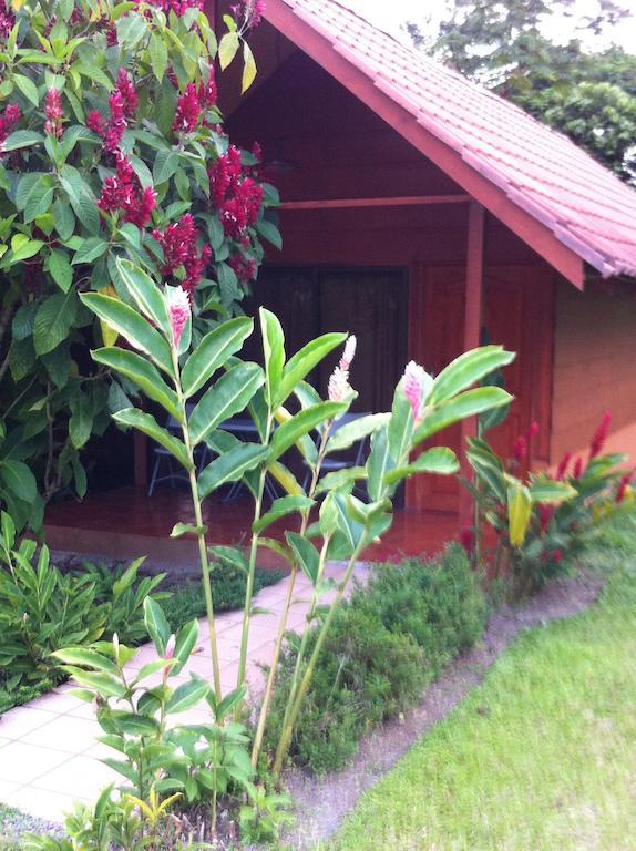 Hotel Villas Vista Arenal La Fortuna Buitenkant foto