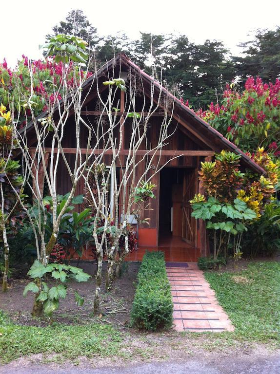 Hotel Villas Vista Arenal La Fortuna Kamer foto