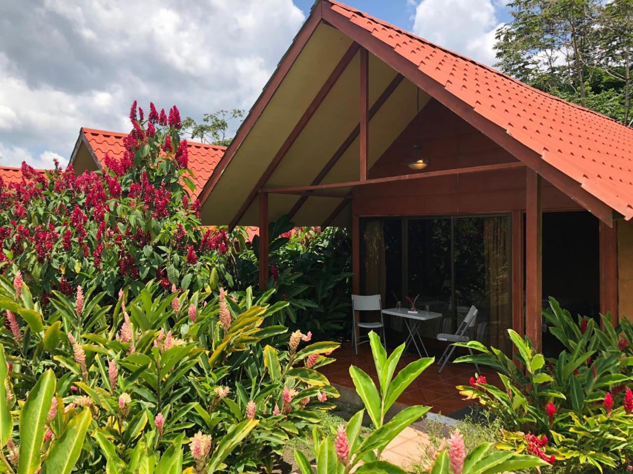 Hotel Villas Vista Arenal La Fortuna Buitenkant foto